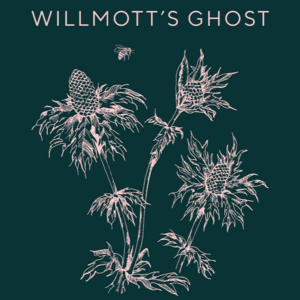 Willmott's Ghost 300